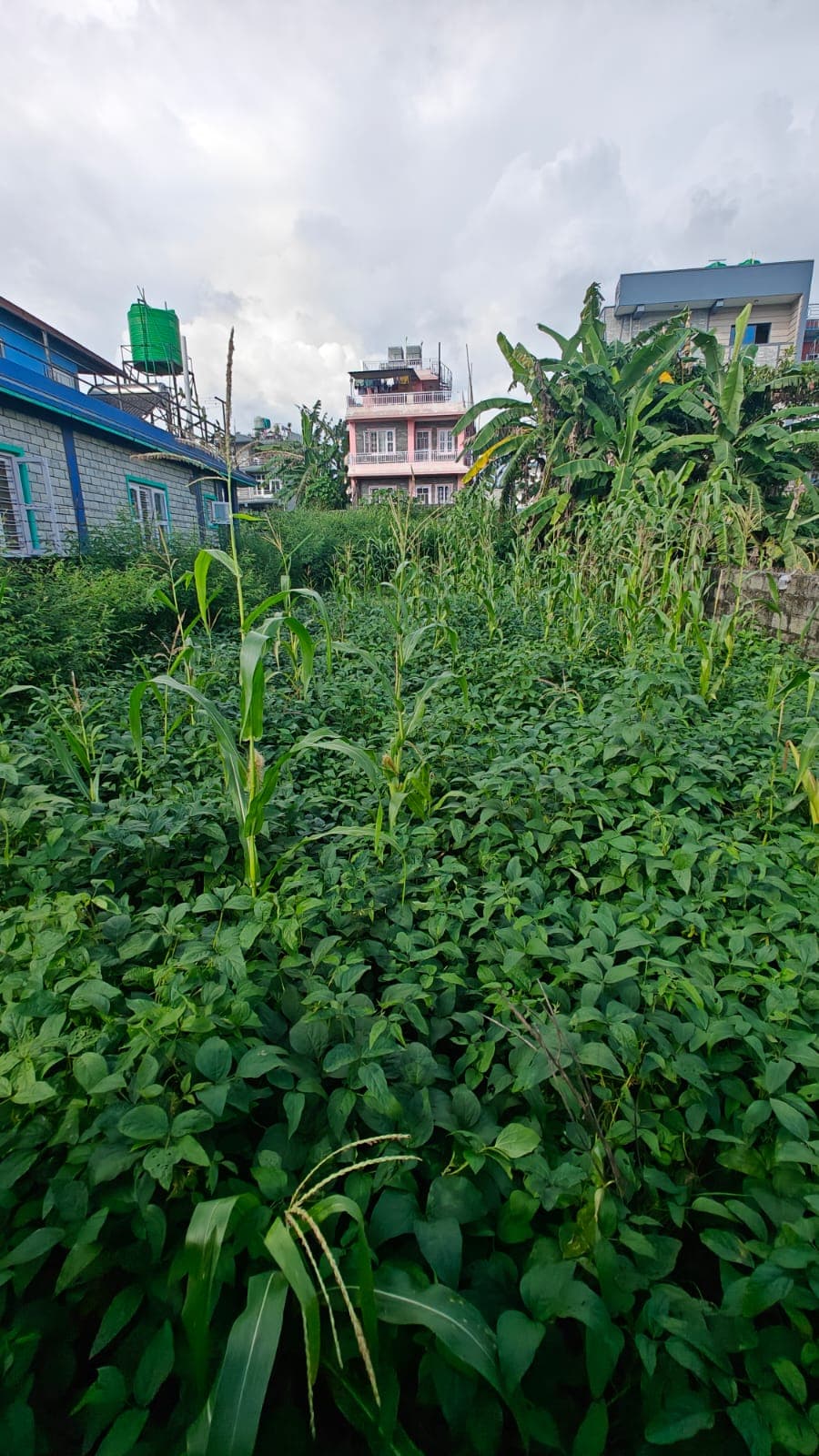 Land for sale in Chauthe