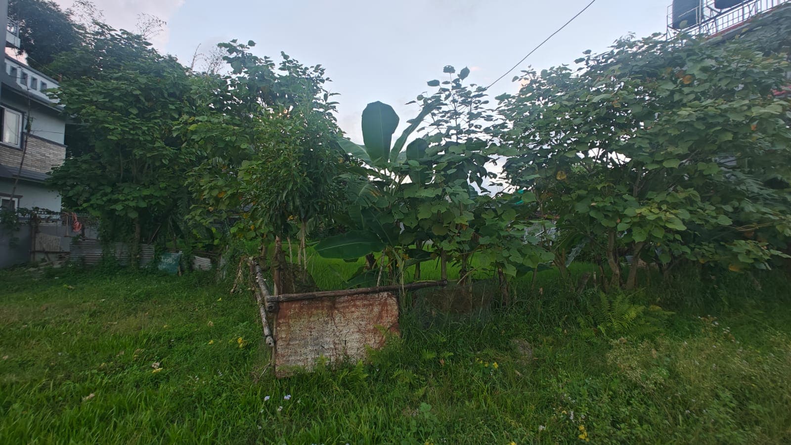 Land for sale in Birauta
