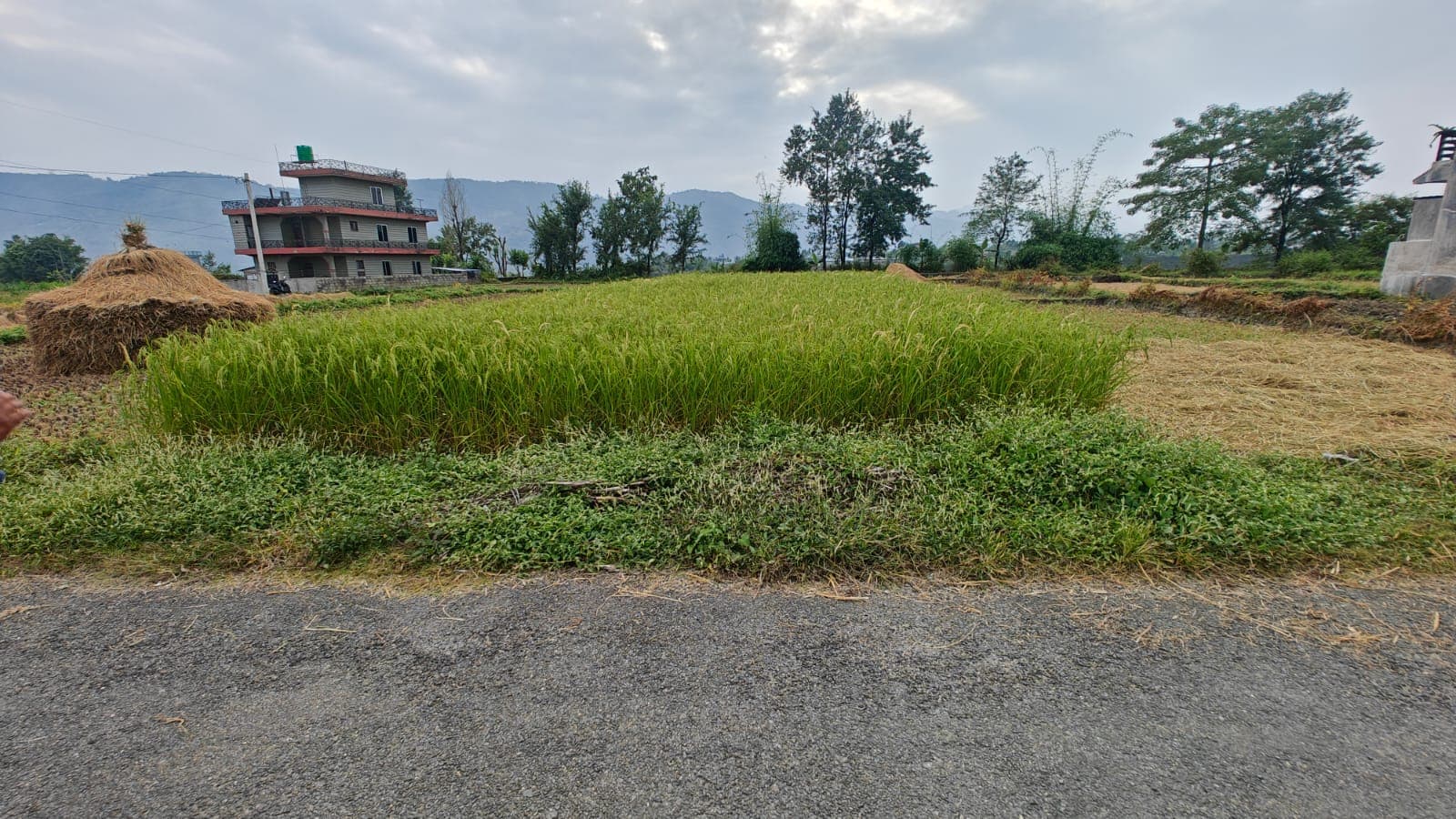 Land for sale in Rithepani