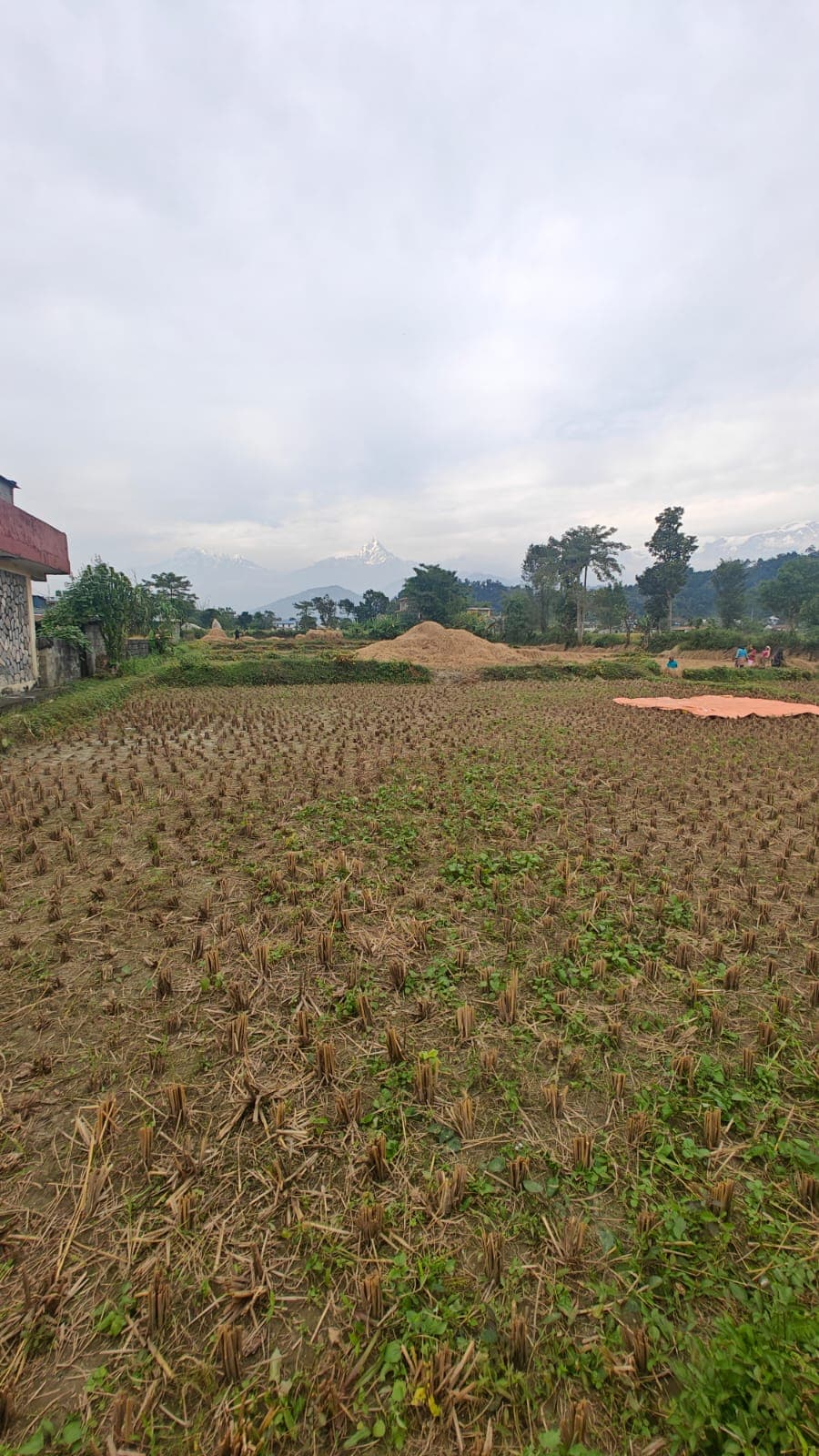 Land for sale in Rithepani