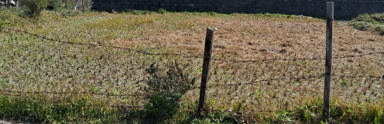 Land for sale in Chauthe Khasibajar