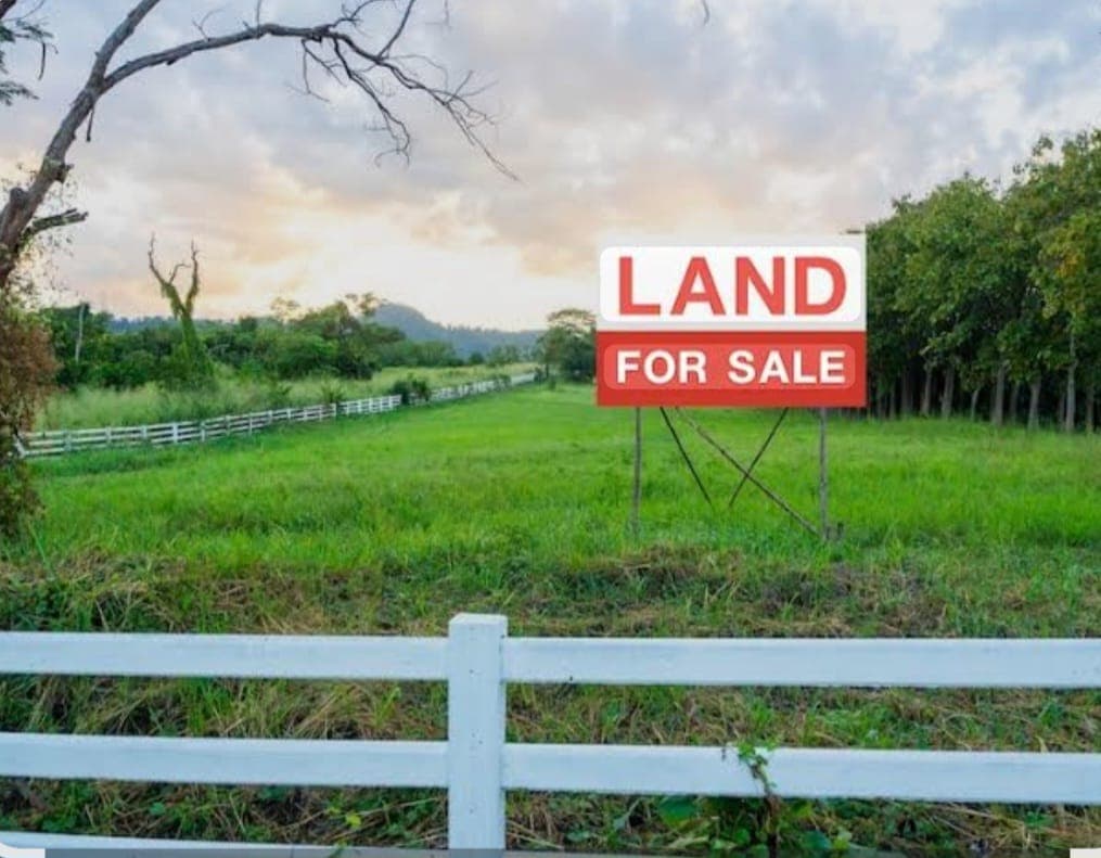 Land for sale in Chauthe khasibajar