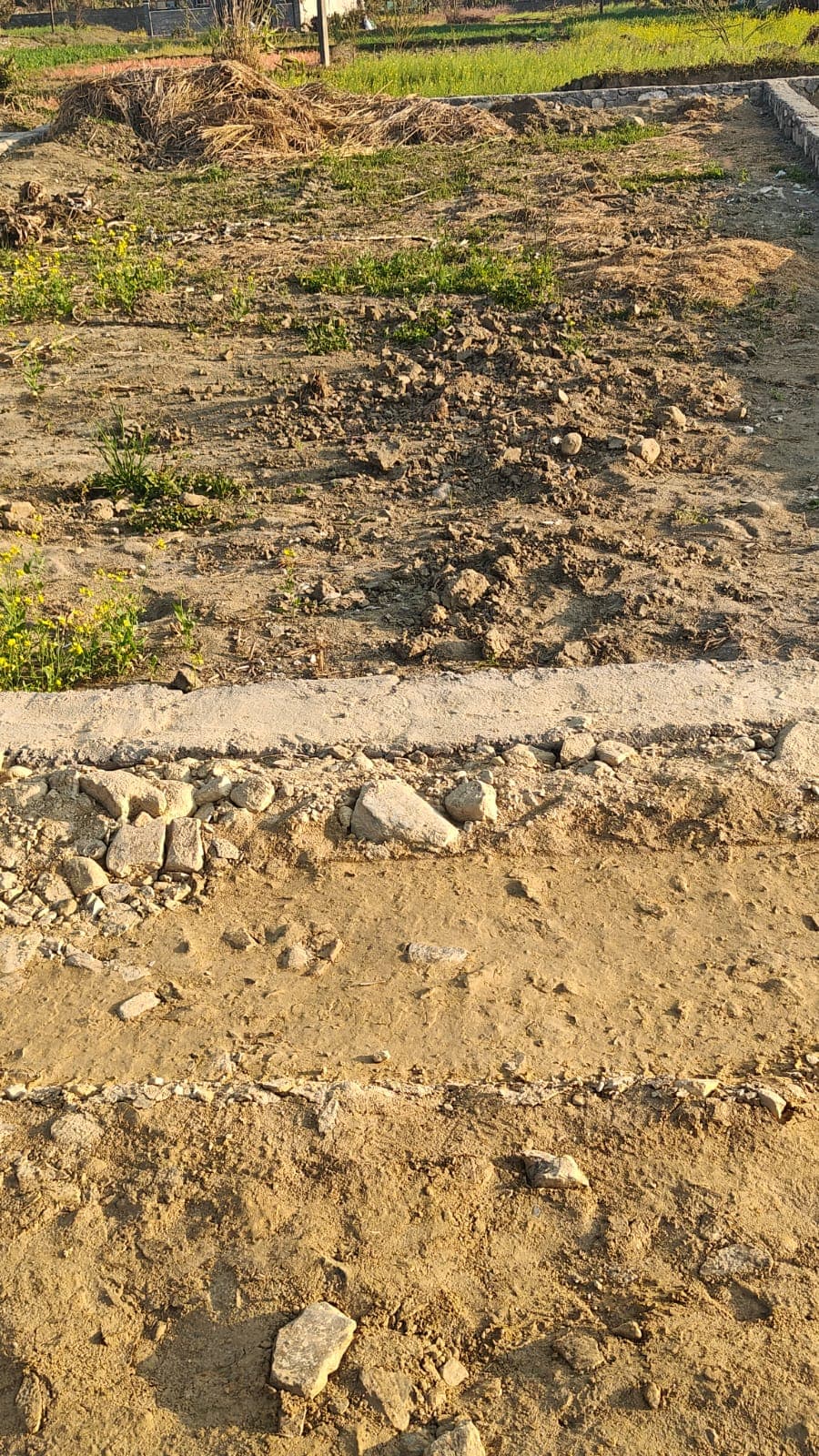 Land for sale in Rithepani