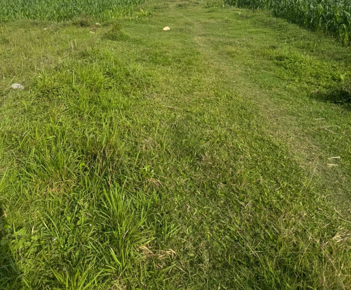 Land for sale in chauthe