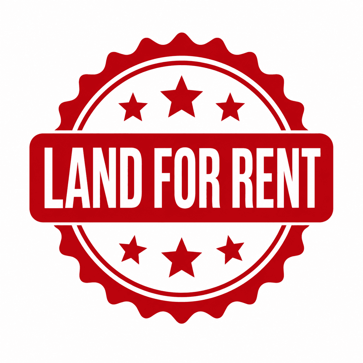 Land for rent in Mustang chowk